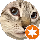 TingEr profile picture